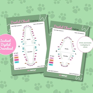 Dental Charts Canine & Feline (Digital Download)