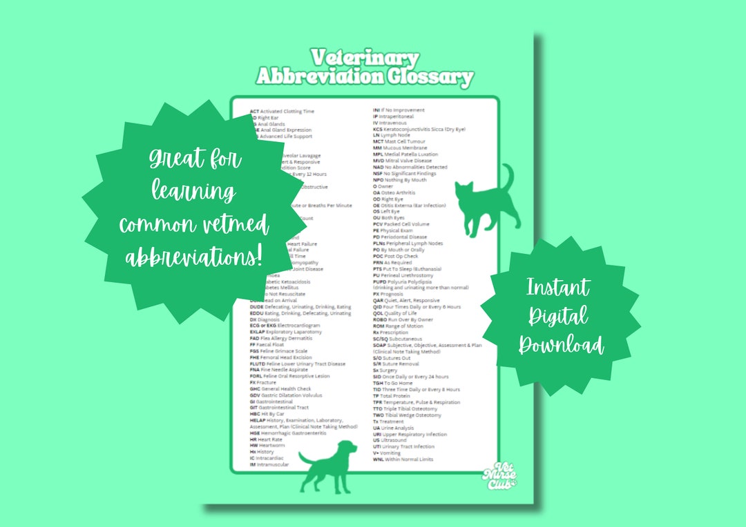 Veterinary Abbreviations Guide MINT GREEN Etsy