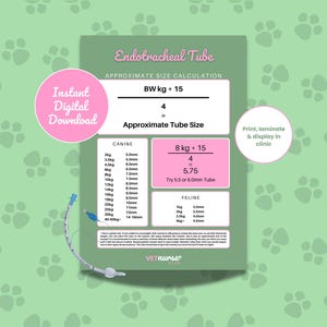 Größentabelle für Veterinär-Endotrachealtuben (Digitaler Download)
