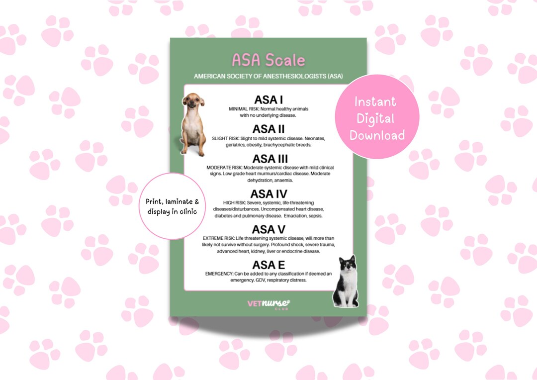 Veterinary ASA Anaesthesia Risk Scale digital Download Etsy Veterinary ASA Anaesthesia Risk Scale digital Download Etsy