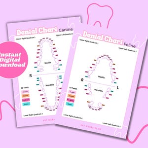 Fichas dentales caninas y felinas (archivos digitales)