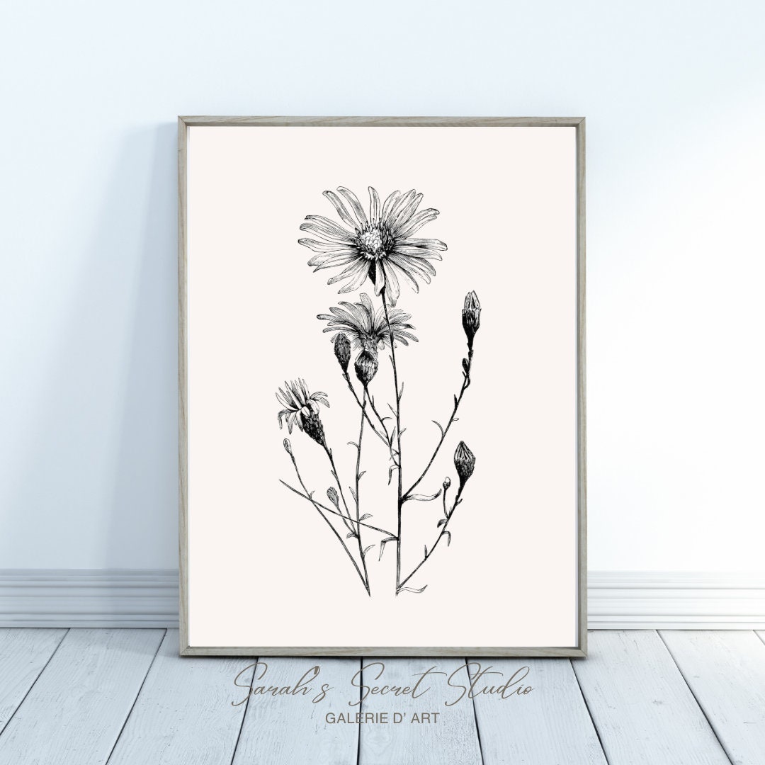 Vintage Flower Art Print | Botanical Sketch | Flower Etch | Vintage ...