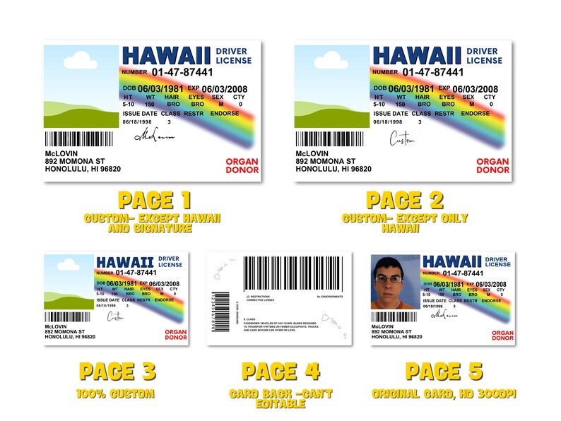Tarjeta De Identificaci n McLovin 100 PERSONALIZADA Tarjeta De Tarjeta De Identificaci n McLovin 100 PERSONALIZADA Tarjeta De