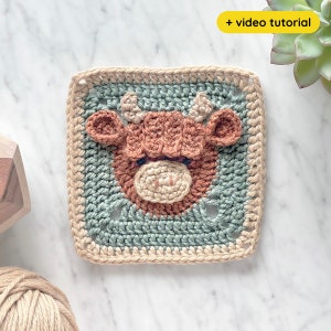 Patrón de crochet cuadrado de la abuela vaca con video tutorial ⸱ Ganado de las Tierras Altas ⸱ Vaca escocesa ⸱ Animal ⸱ Manta ⸱ Patrón de crochet digital en PDF