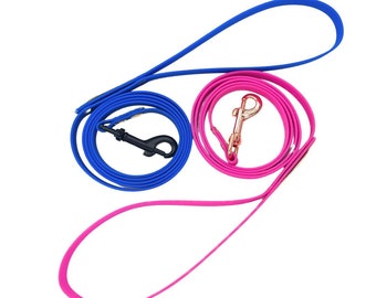 "Limited Edition" leash for small dogs