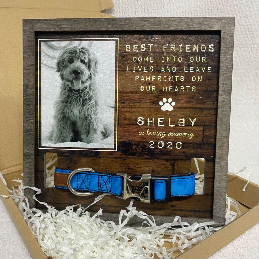 Memorial Pet Collar Sign, Dog Cat Memorial Wood Frame With Collar ...