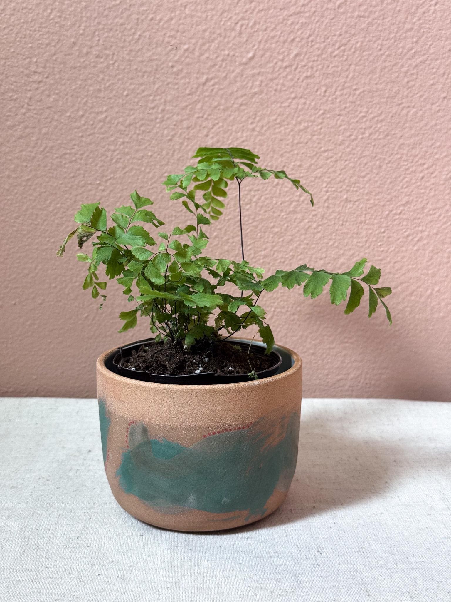 Modern Ceramic Planter