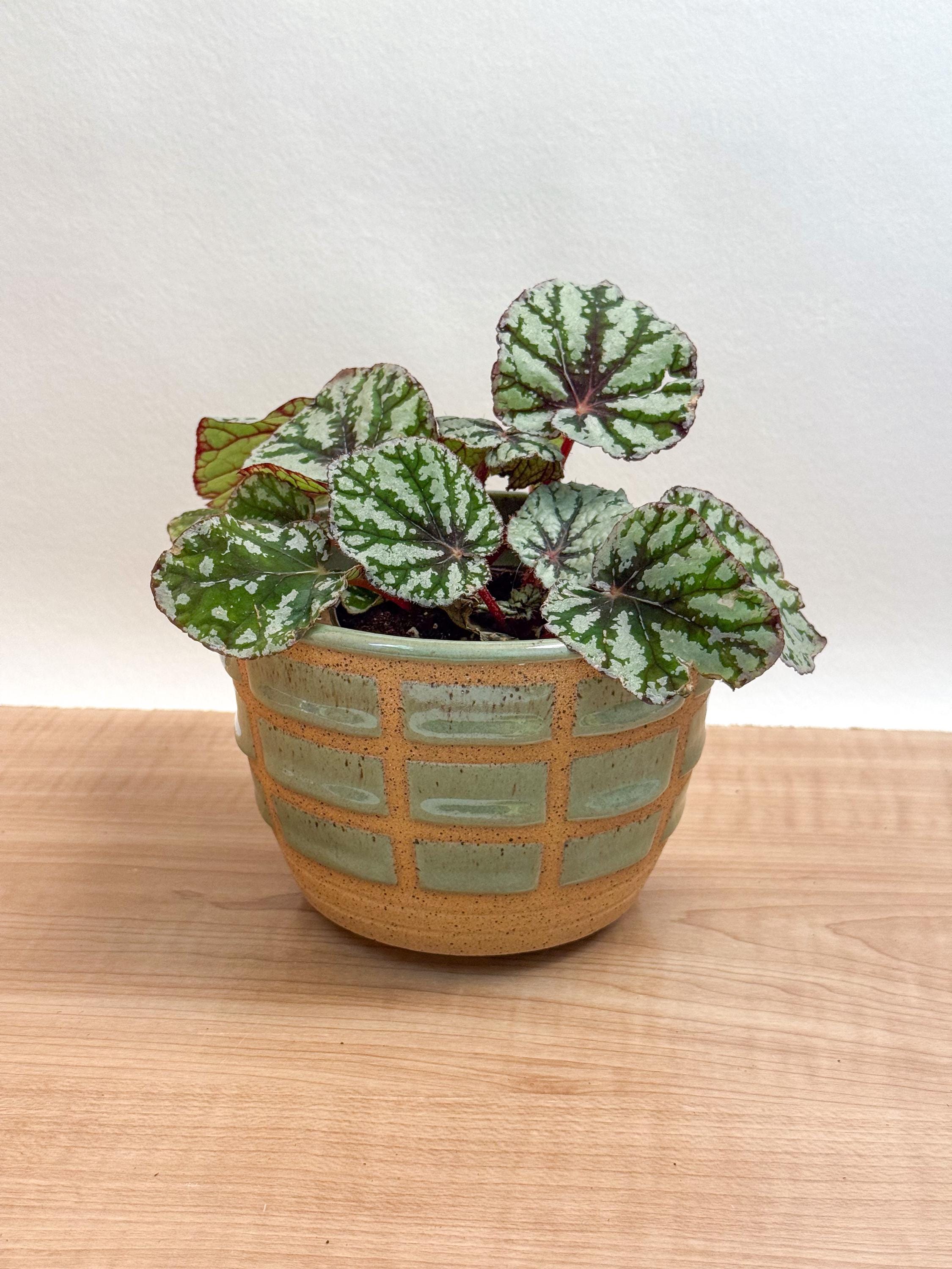 Green Geometric Planter - Speckled Clay Indoor Planter