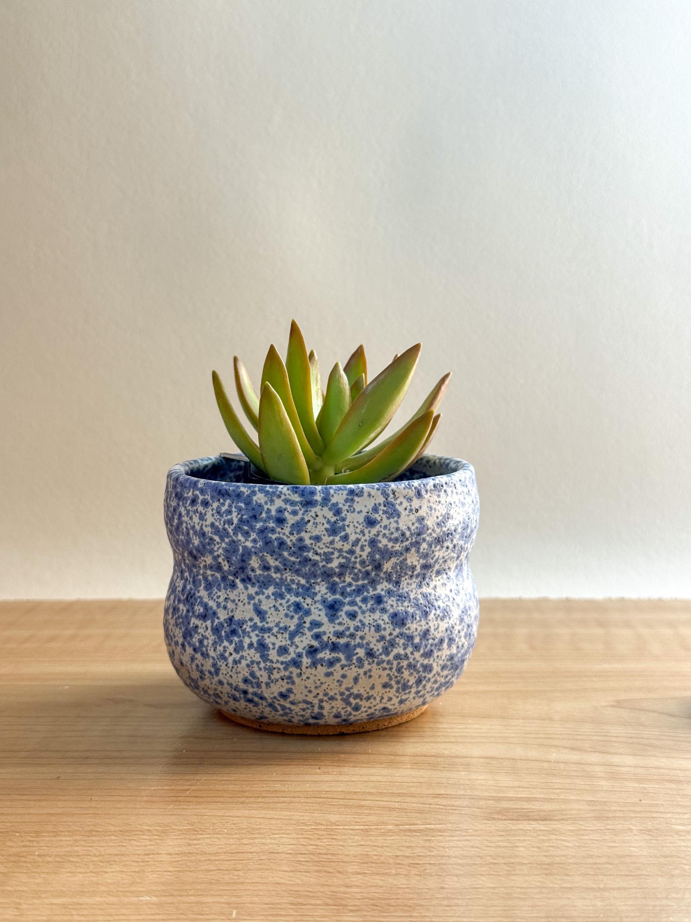 Blue Speckled Small planter - Handmade Tabletop Planter