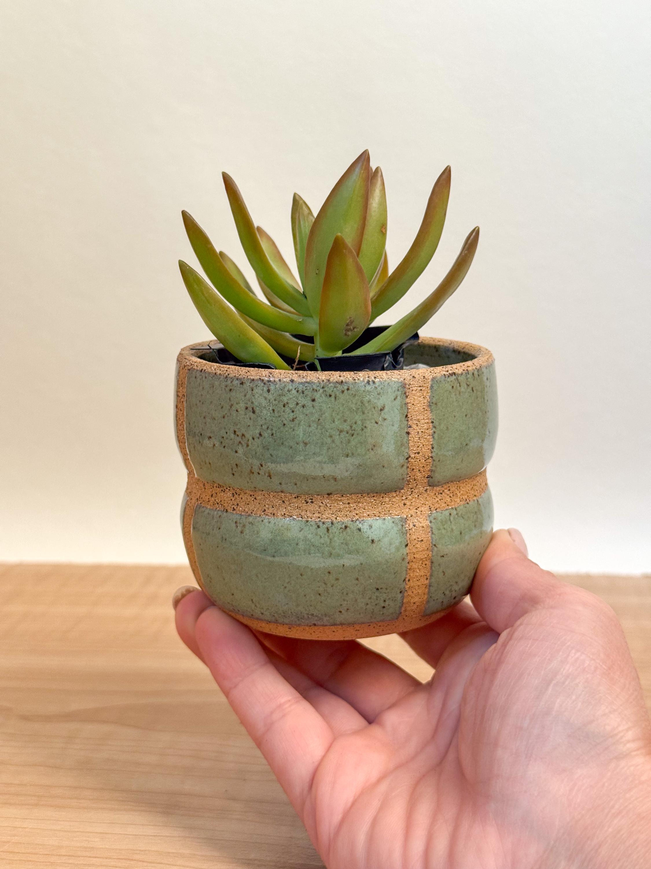 Green Geometric Planter - Small Speckled Clay Indoor Planter