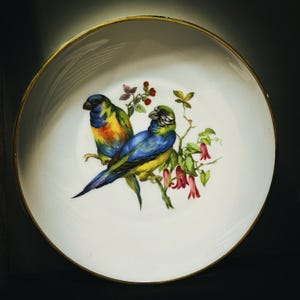 Hutschenreuther decorative bird plate cabinet display plate Germany 8”