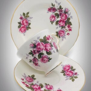 Queen Anne Trio Teacup & Saucer Dessert Roses Pattern 8575 Bone China England
