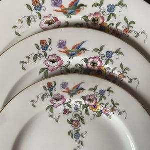 Hutschenreuther Selb Floral Dinner Set Pheasant Antique 21 Pieces Bavaria