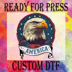 Retro American Flag Eagle DTF Transfer: Patriotic Heat Press Print