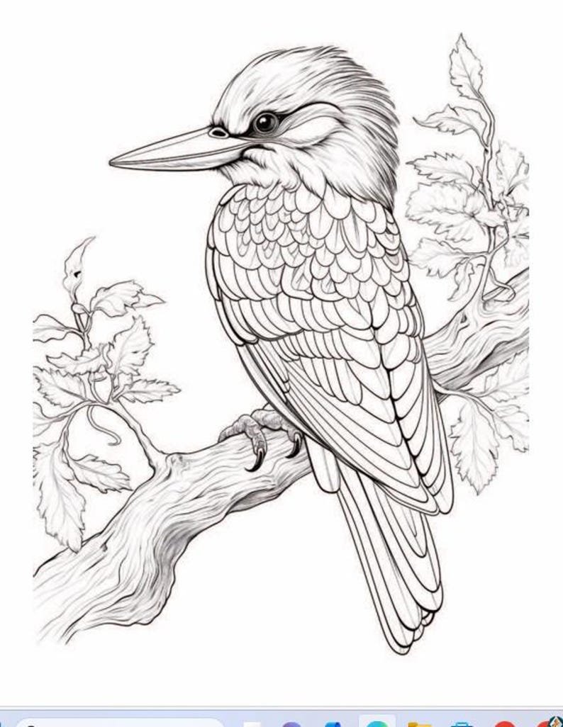 30 Bird Coloring Pages, Adult Coloring Book Printable, Digital Download ...