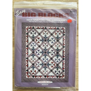 May include: A package for a quilt pattern titled "Easy Big Blocks." The pattern features a floral design with red, purple, and white elements. The blocks are 12 inches. The text "Carolina Lily" and "Advanced" are visible.