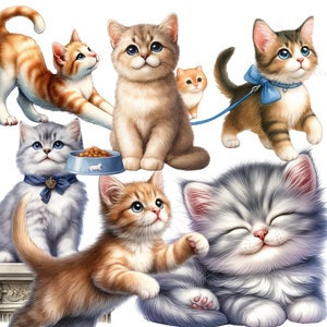 Water Color Cute Cat, CAT PNG, Kitten Clip Art, Kitten PNG, Funny ...