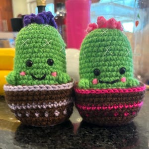 Crochet Cactus With Potted Surprise
