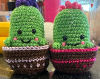 Crochet Cactus With Potted Surprise