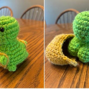 Baby Turtle