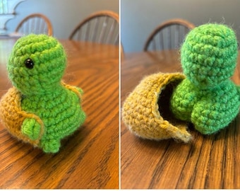 Baby Turtle