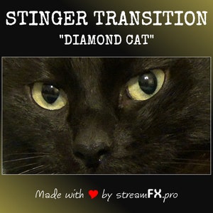 Transición "DIAMOND CAT" / Transición de escena de transmisión Stinger para Twitch, Kik, TikTok, YouTube / Transición de Stinger de Track Matte