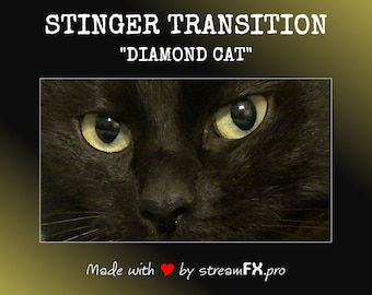 Transición de aguijón de gato de diamante: Escena de transmisión de pista mate (descarga digital)
