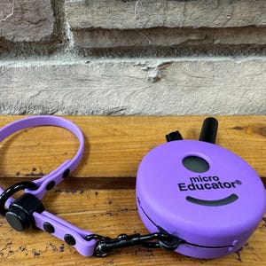 Biothane Remote Collar Wrist Strap | Slip Style Wrist Strap | Remote Collar Lanyard | 3/8 Inch Biothane W/ Chord Lock