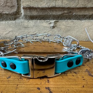 K&ouml;nnte beinhalten: Ein t&uuml;rkisblaues Hundehalsband mit einer silbernen Schnalle und einem silbernen Kettenglied-Design. Das Halsband hat zwei schwarze Punkte auf dem Riemen.