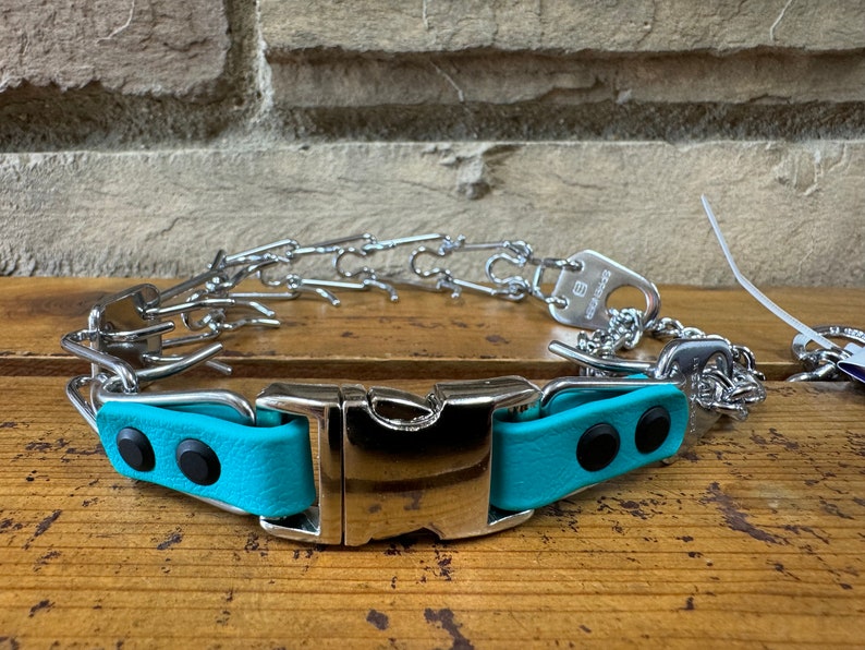 K&ouml;nnte beinhalten: Ein t&uuml;rkisblaues Hundehalsband mit einer silbernen Schnalle und einem silbernen Kettenglied-Design. Das Halsband hat zwei schwarze Punkte auf dem Riemen.
