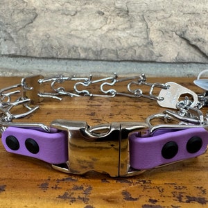 Könnte beinhalten: Ein silbernes Stachelhalsband mit einer violetten gepolsterten Schnalle. Das Halsband besteht aus Metallgliedern und hat einen D-Ring zum Anbringen einer Leine.