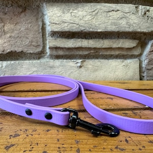 1/2&quot; Biothane Leash | Biothane Leash with Black Hardware | Water Proof Leash | Dog Training Leash | Custom Dog Leash