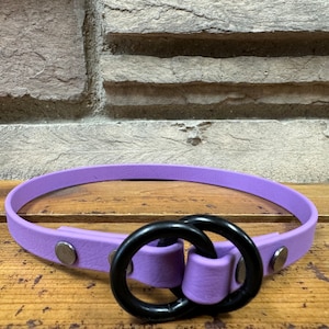 Könnte beinhalten: Ein lilafarbenes Hundehalsband mit einer schwarzen Doppelring-Schnalle und silbernen Metall-Akzenten.