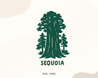 Sequoia National Park SVG | Giant Tree Illustration | California PNG | Sublimation Design