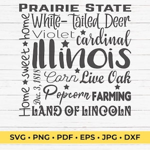 State of Illinois SVG Cut File Square Typography