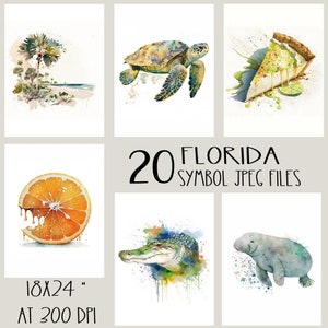 Può includere: Un set di 20 illustrazioni ad acquerello di simboli della Florida, tra cui una palma, una tartaruga marina, una torta di lime, un'arancia, un alligatore e un lamantino. Le illustrazioni sono in stile acquerello e sono perfette per l'uso in progetti digitali o stampati.