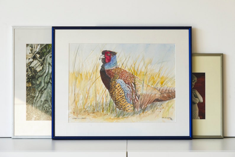 Watercolor painting with passepartout Pheasant image 1