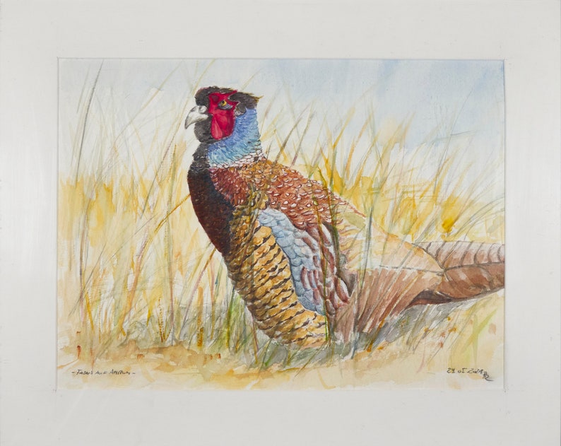 Watercolor painting with passepartout Pheasant image 2