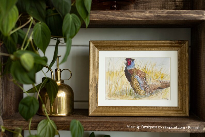 Watercolor painting with passepartout Pheasant image 3