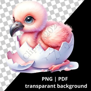 Clipart acquerello baby Flamingo, file PNG, baby fenicottero, PDF, carino, stampa, design a sublimazione, clipart di uccelli, maglietta per bambini, scuola materna, regalo