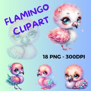 18 PNG Cute Baby Flamingo Clipart, Nursery, Baby Shower, Digital Download, 300DPI, Cartoon Bird PNG, Floral Border Design, Instant Download