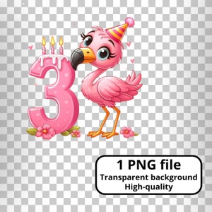 Urodziny Flamingo clipart, PNG, różowy ptak, Wszystkiego najlepszego, numer 3, dzieci, dziecko, rocznica, uroczystość, impreza, trzy, B-Day, zaproszenie