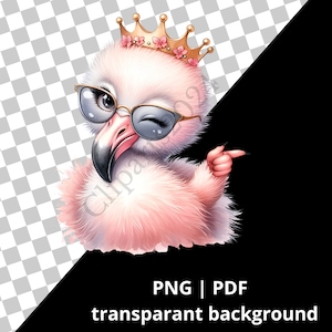 Clipart acquerello baby Flamingo, disegno di uccelli carini, per la stampa, design di sublimazione, clipart di uccelli, file png di fenicotteri, regina di fenicotteri