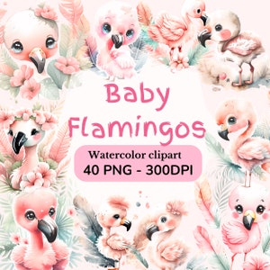 Watercolor Baby Flamingo Clipart Bundle, 40 PNG, 300DPI, pink bird, adorable, cute, baby flamingo, tropical bird, nursery, babyshower