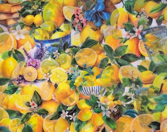 Pacchetto di adesivi con illustrazioni di limoni, adesivi trasparenti per agrumi, limone di Amalfi italiano Cottagecore, arte mediterranea