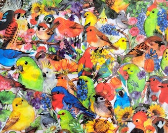 Pacchetto di adesivi artistici di uccelli, adesivi trasparenti di uccelli acquerellati, regali di ornitologia, Floral Cottagecore