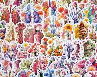 Pacchetto di adesivi di anatomia floreale, adesivi botanici di scheletro, arte medica, sistema muscolare, cuore di fiore