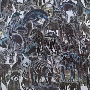 Könnte beinhalten: Eine Collage aus verschiedenen Tiersilhouetten mit weißen Skelettstrukturen, die über schwarzen Tierformen liegen. Die Sammlung umfasst einen Delfin, einen Löwen, einen Panda, ein Flusspferd und weitere Wildtiere in einem anatomischen Muster.