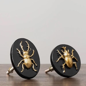 May include: Two decorative cabinet knobs. Each knob features a gold-colored beetle design on a black, oval-shaped base. The knobs have a silver-colored stem for mounting. The background is a dark wood surface.