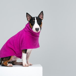 May include: A Bull Terrier dog wearing a vibrant pink fleece sweater, sitting on a white cube against a grey backdrop. The dog has a black, brown, and white coat. The sweater covers the dog's neck and chest.